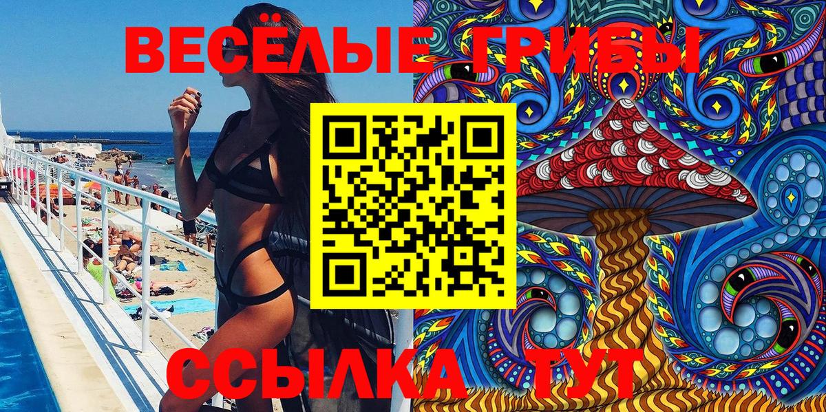 Галлюциногенные грибы Psilocybine cubensis Черняховск
